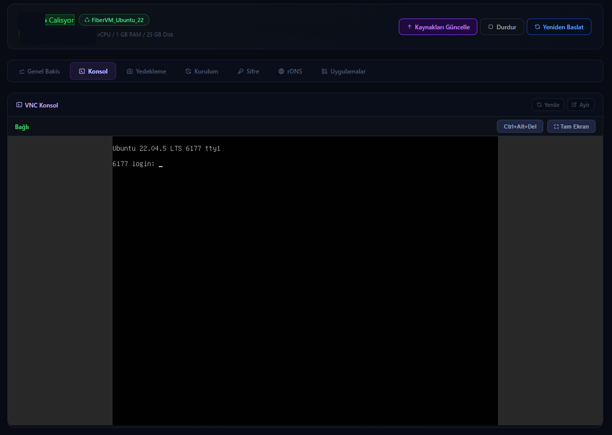 FiberVM web tabanlı Fransa VDS VNC konsol ekranı